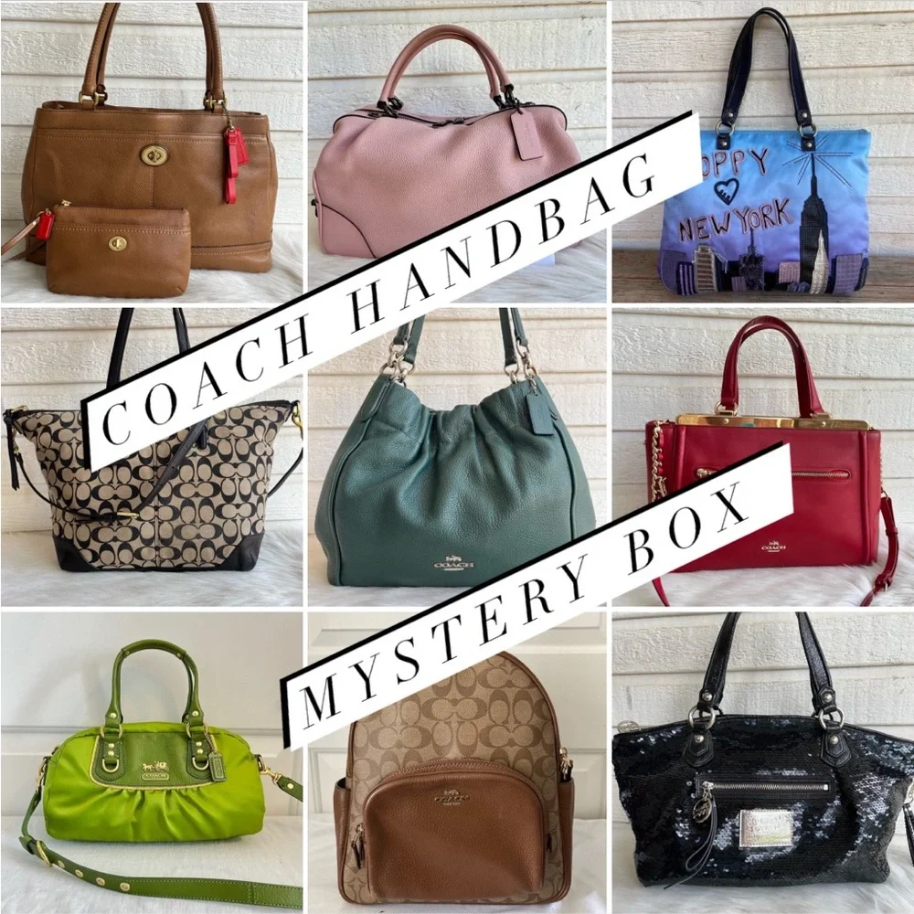 COACH Handbag Designer High End Mystery Box